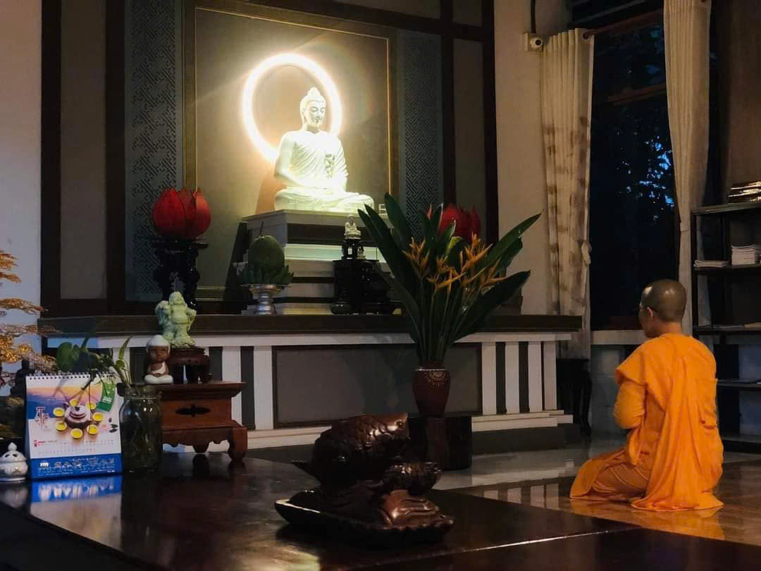 Tùng Hạ Vassa