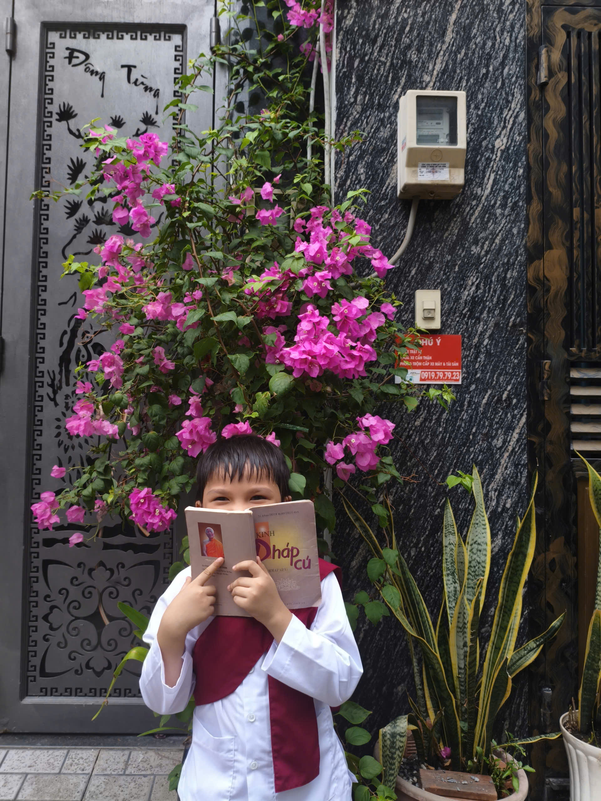 Bảo Khang: Phẩm 1